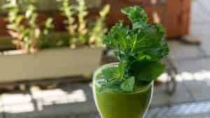 Is Green Juice Good For You?